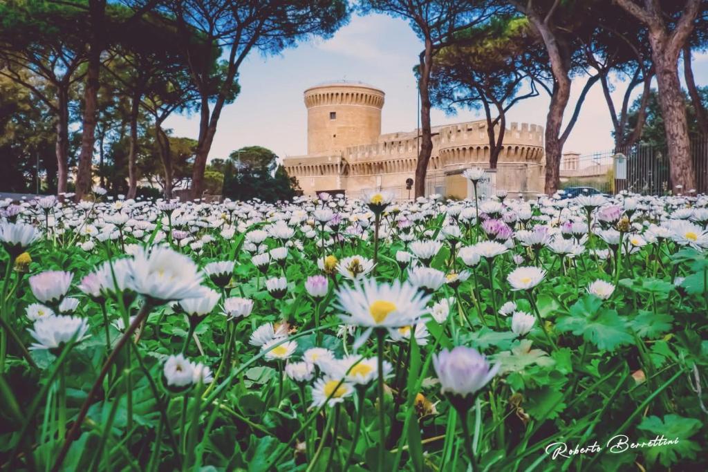 een veld met witte bloemen voor een gebouw bij Casetta 46 in Ostia Antica