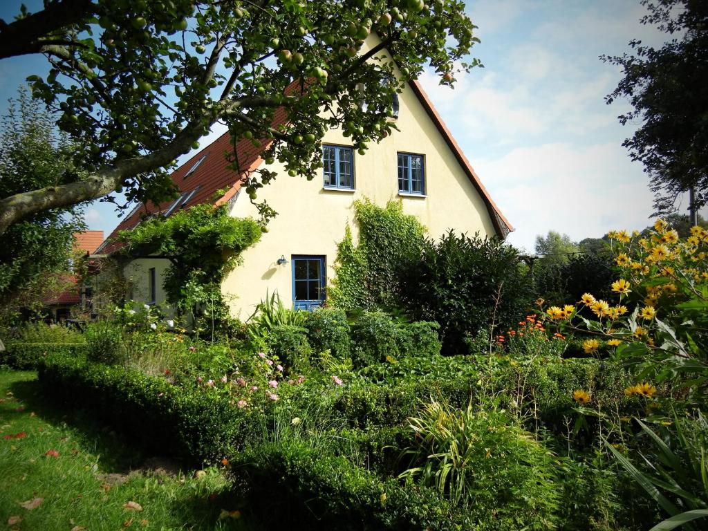 ein Haus mit Garten davor in der Unterkunft Ferienhaus Kastanie in Klein Siemen