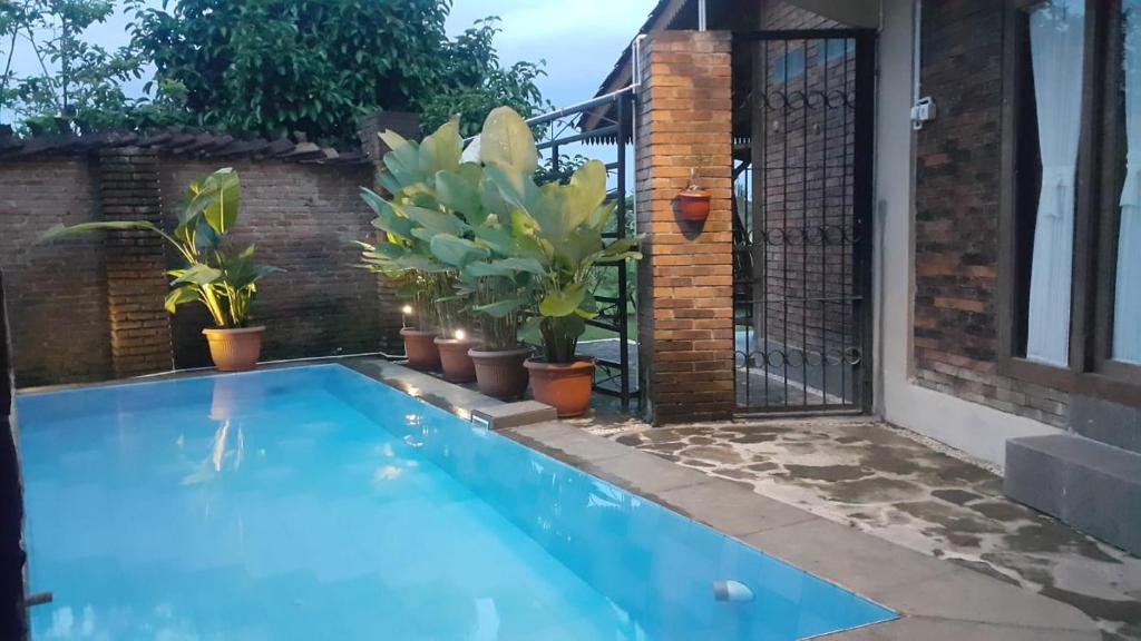 een zwembad in een achtertuin met potplanten bij Villa Azzyra in Pakem