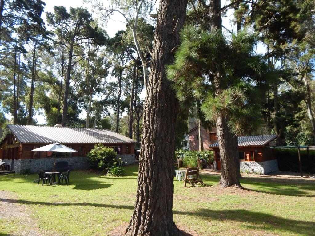 dos árboles frente a una cabaña de madera en Cabañas Altos del Bosque en Mar del Plata
