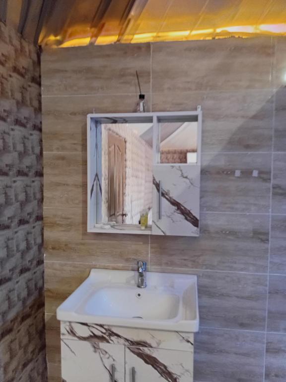 een badkamer met een wastafel en een spiegel bij Mars Camp, Lunar Space in Wadi Rum