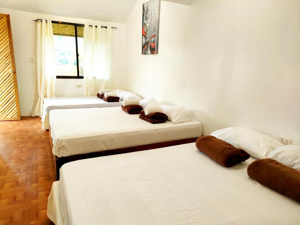 eine Gruppe von 4 Betten in einem Zimmer in der Unterkunft Siargao Tropic Hostel in General Luna