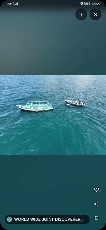 World Wide Joint Discoverers