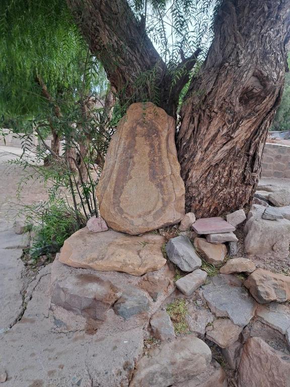 a large rock sitting on top of rocks next to a tree at Posada LO DE ELIAS in Tilcara