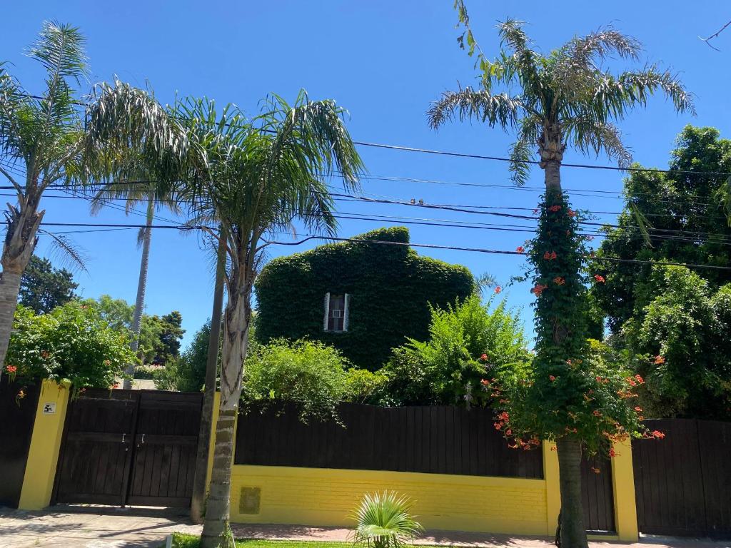 a house with a large bush on top of a fence at Felicidades in Rosario