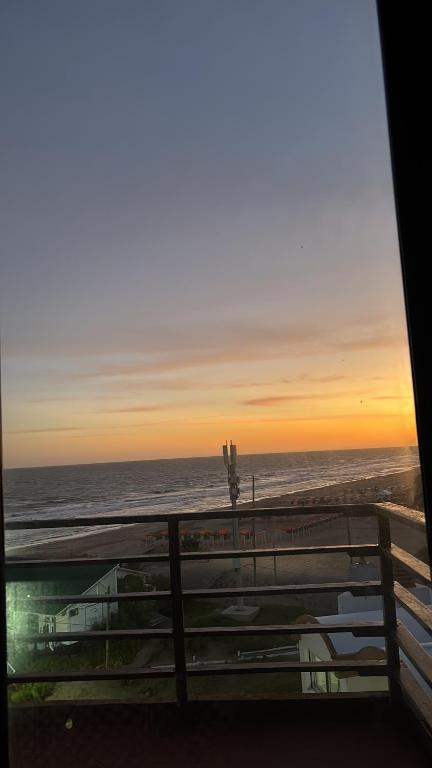 Naturlandskabet i nærheden af lejligheden