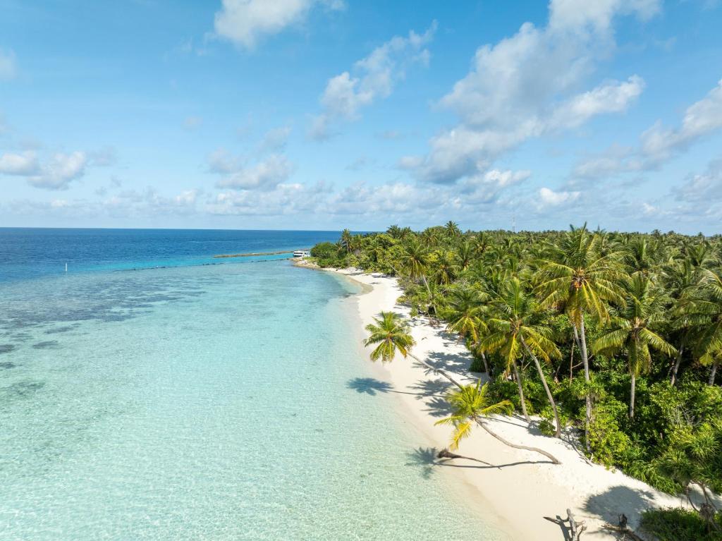 Příroda nedaleko hotelu