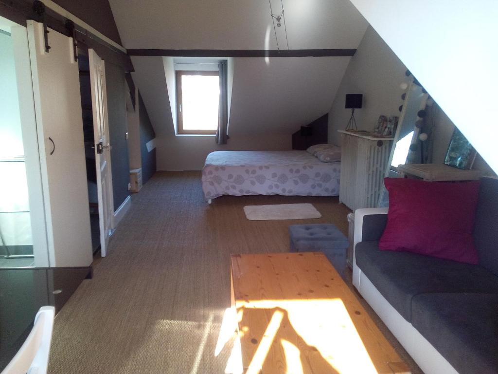 ein Wohnzimmer mit Sofa und Bett in der Unterkunft Chambre spacieuse proche du centre ville in Villefranche-de-Rouergue
