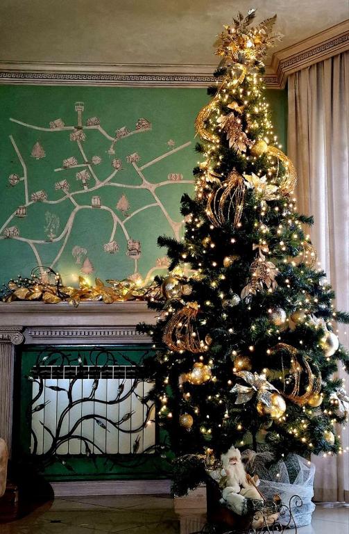 a christmas tree in front of a green wall at Hermes Resort Hotel in Truskavets