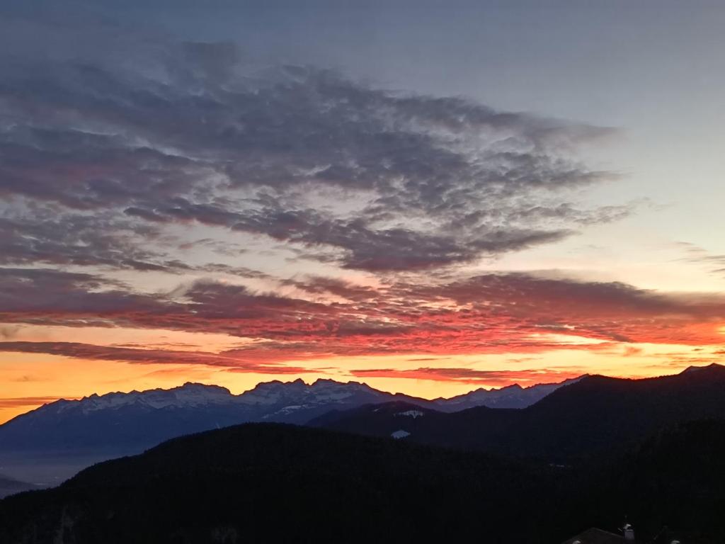 Природа в окрестностях апартаментов/квартиры