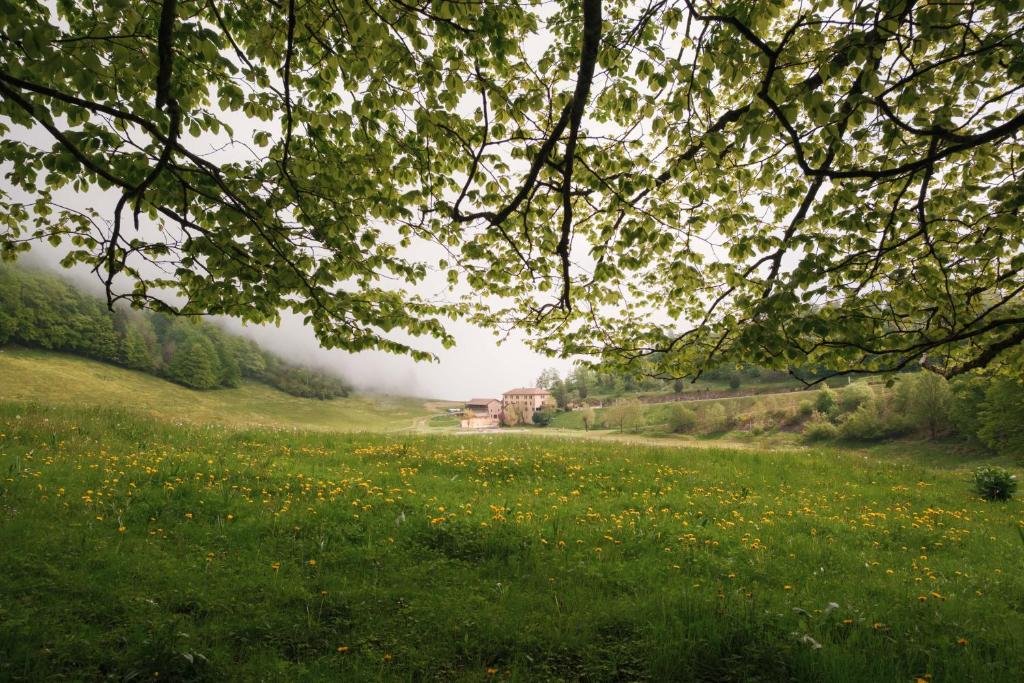 ein Blumenfeld mit einer Brücke im Hintergrund in der Unterkunft Hostel Quartier Libre in Saint-Jean-en-Royans