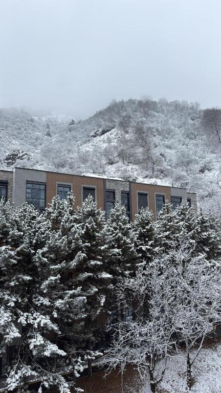 un bâtiment avec des arbres enneigés devant une montagne dans l'établissement Ugam revers Apartments, à Khumson