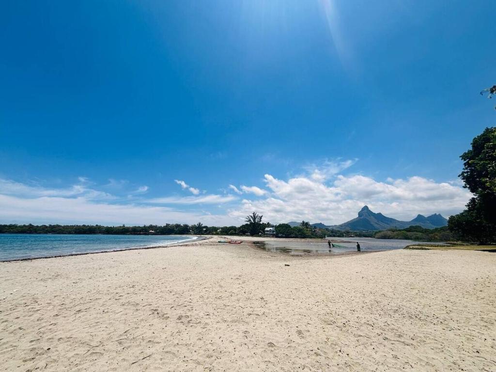 Naturlandskabet i nærheden af lejligheden