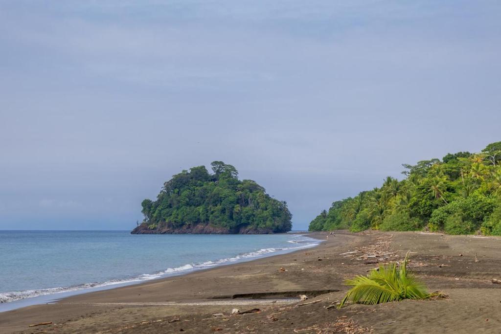 Naturlandskabet i nærheden af bed and breakfast-stedet