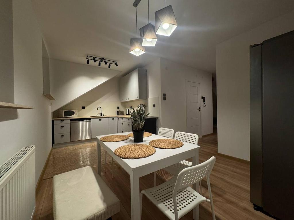 Køkken eller tekøkken på Szczecin Mierzyn Windmill