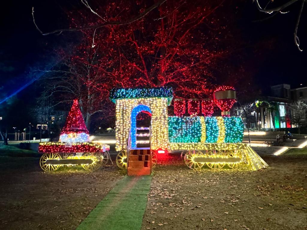 Κήπος έξω από το Casa Vittoria - tra Lago Maggiore e centro città