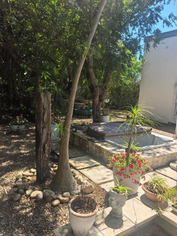 En have udenfor 22 on BREEZAND