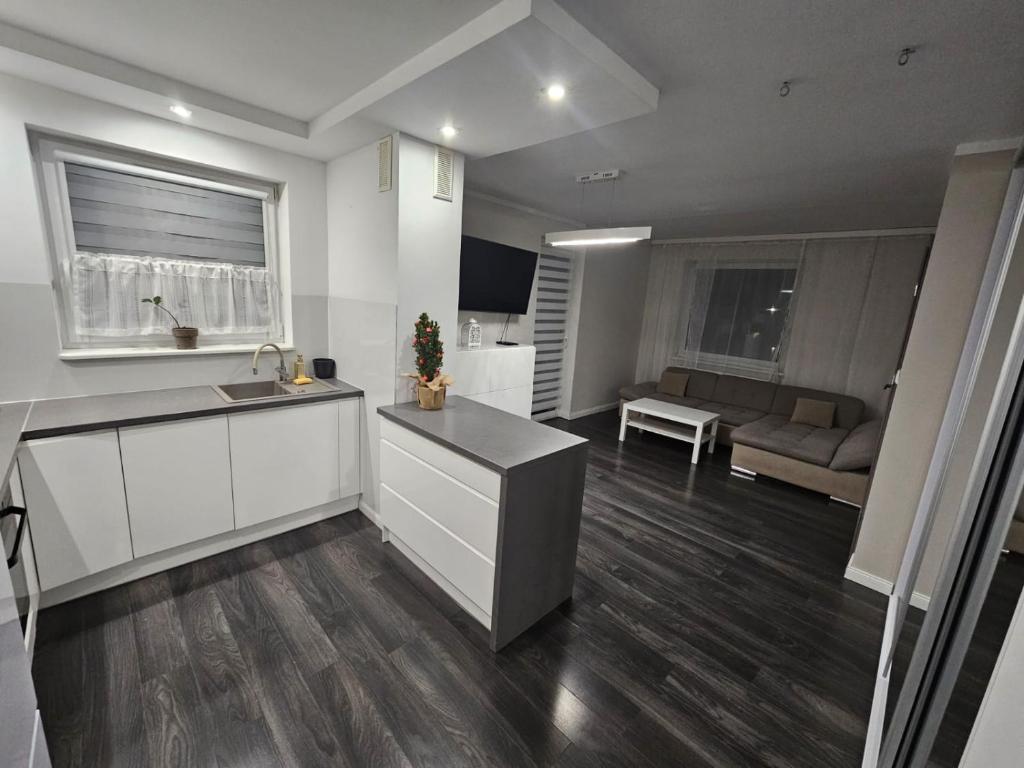 Kuchyň nebo kuchyňský kout v ubytování Apartament Daisy 2