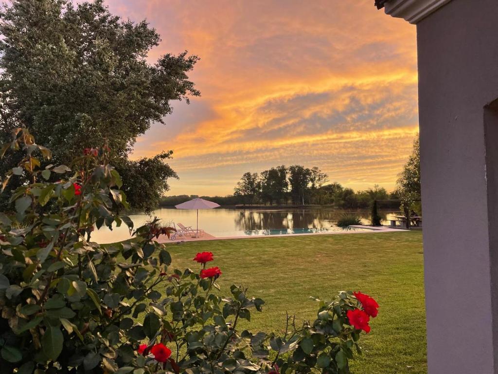 Příroda nedaleko prázdninového domu