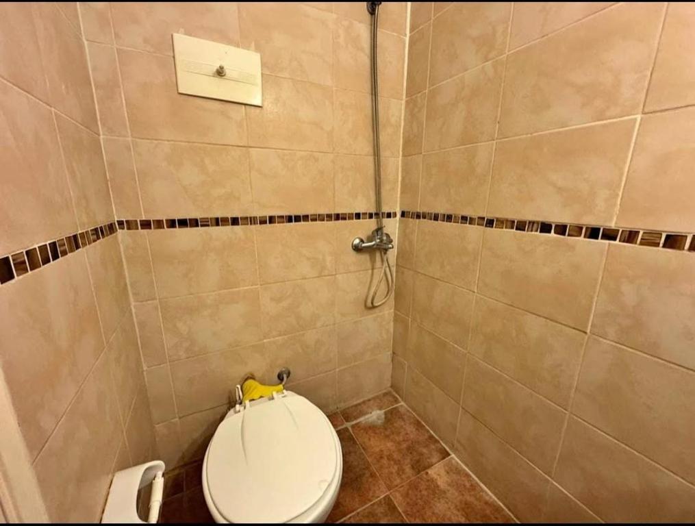 een badkamer met een toilet en een douche bij Paseo Aldrey in Mar del Plata