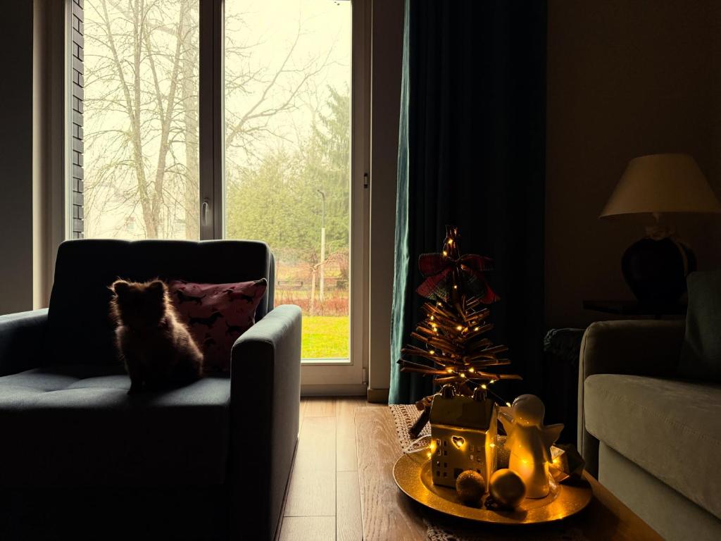 Khu vực ghế ngồi tại Apartament Magia Puszczy z widokiem na Puszcze Białowieska