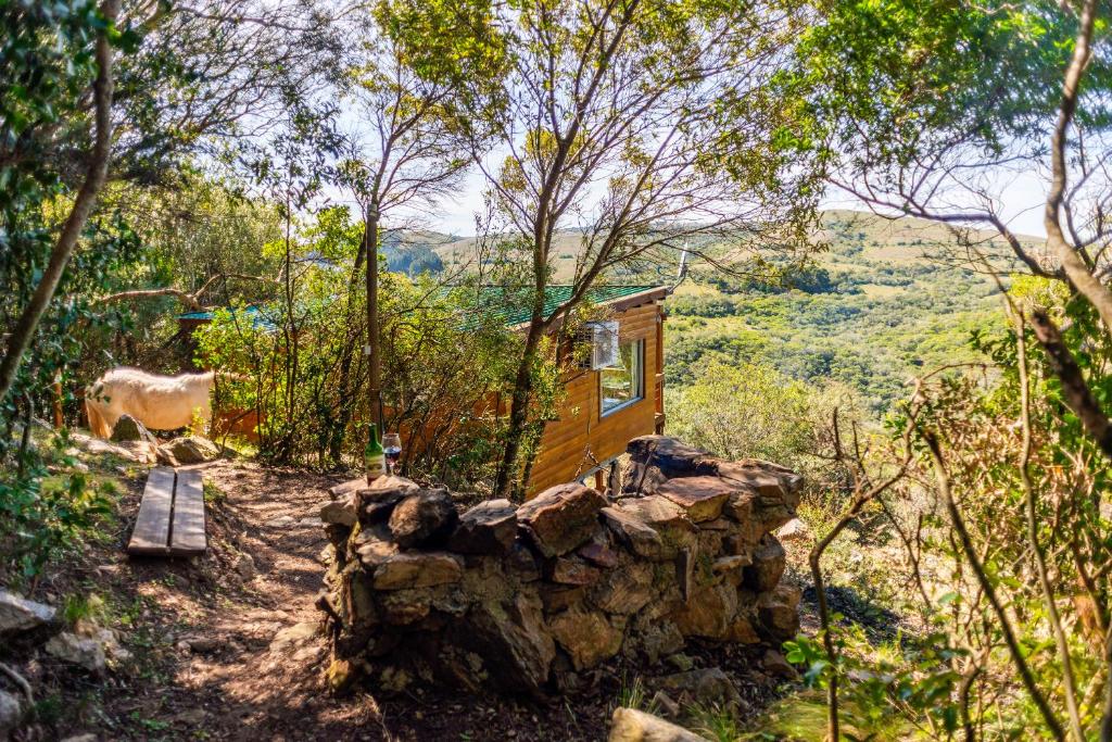 una casita en medio de un bosque en Camino el Portal del Alma, en El Edén
