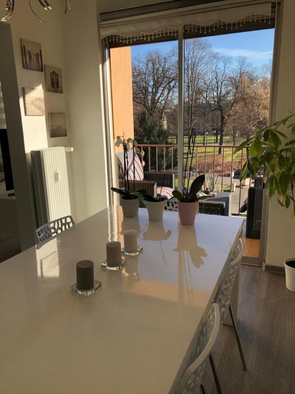 Appartement moderne esprit loft avec balcon centre Colmar proche gare et Place Rapp – photo 9