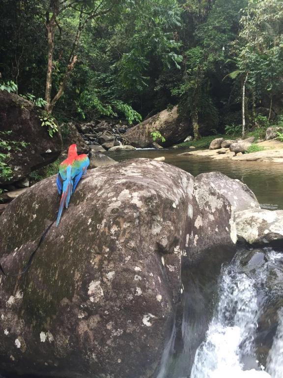  Pousada Ecológica Cavalo de Pedra