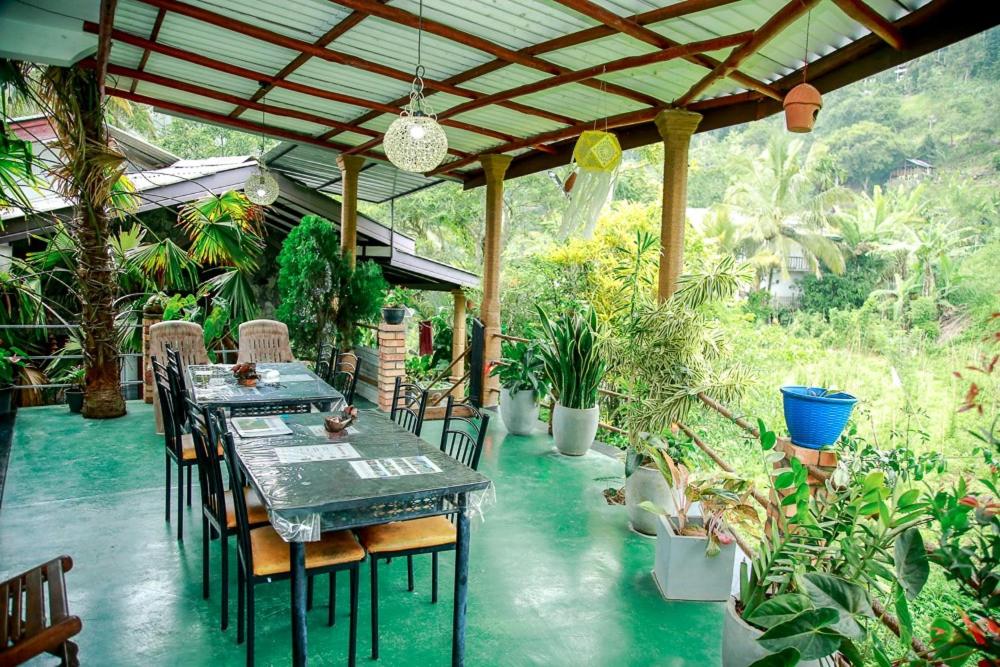 Serenity Homestay - 3