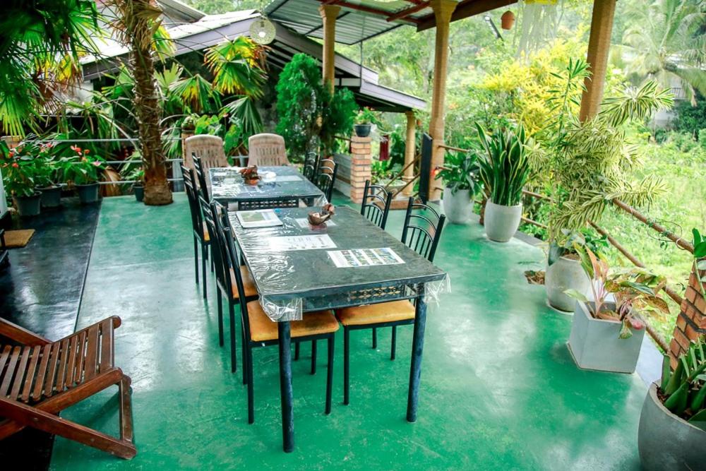 Serenity Homestay - 4