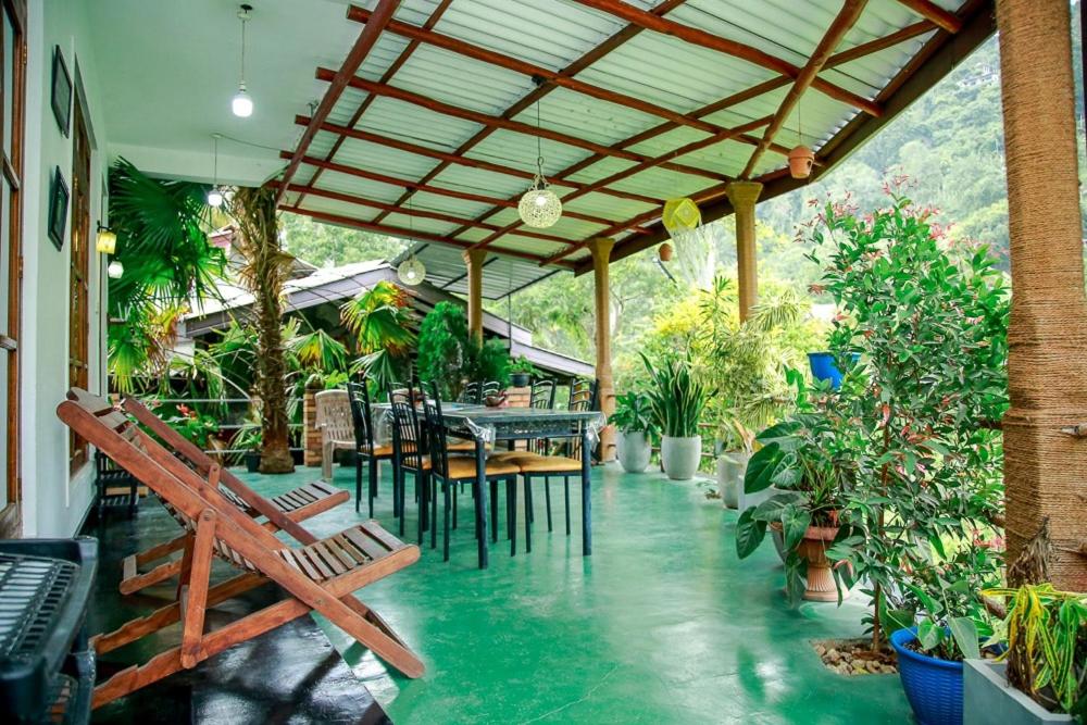 Serenity Homestay - 5