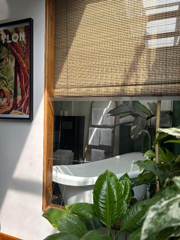 康提The Next Door的窗户里的一个浴缸反射