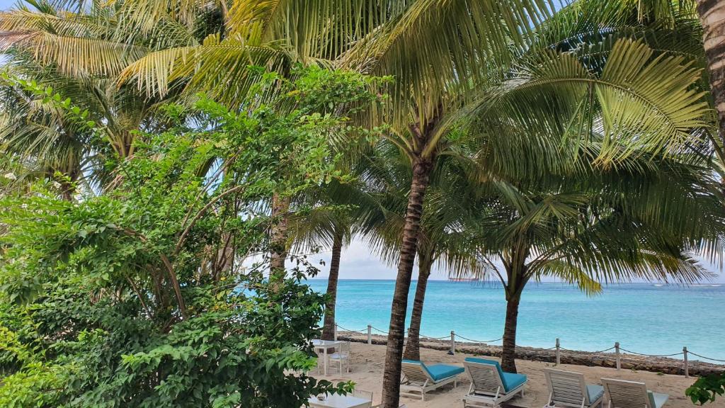 a beach with chairs and palm trees and the ocean at Myamo Beach Lodge in Jereweh