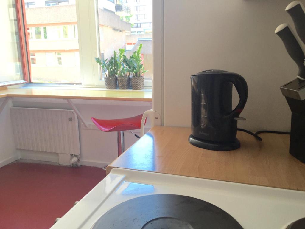 Kuchyň nebo kuchyňský kout v ubytování Linné Hostel