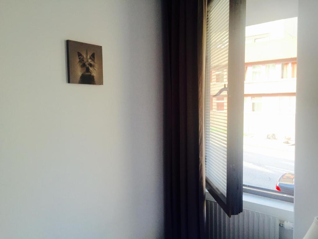 Fotografie z fotogalerie ubytování Linné Hostel v destinaci Gothenburg