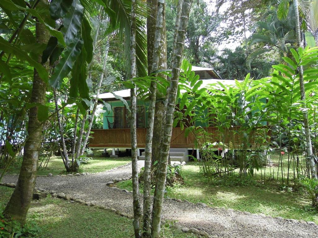 Zahrada ubytování El Colibri Lodge