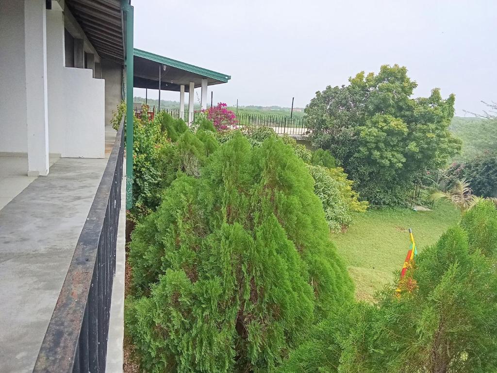 a view of a garden from the balcony of a house at New Hotel Bundala park in Tissamaharama