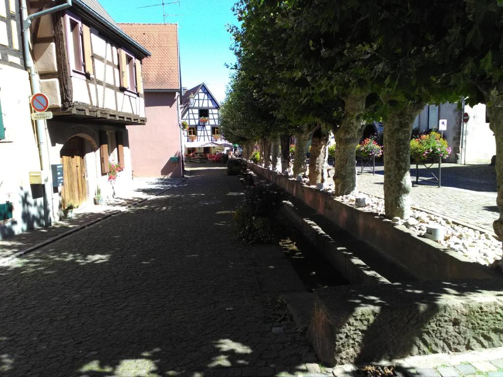Gites & Camping on the Route des Vins – photo 19