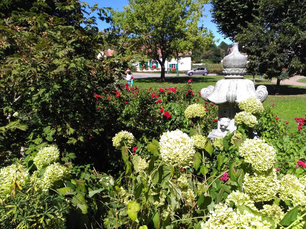 Gites & Camping on the Route des Vins – photo 14