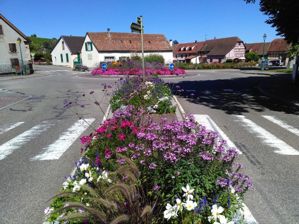 Gites & Camping on the Route des Vins – photo 18