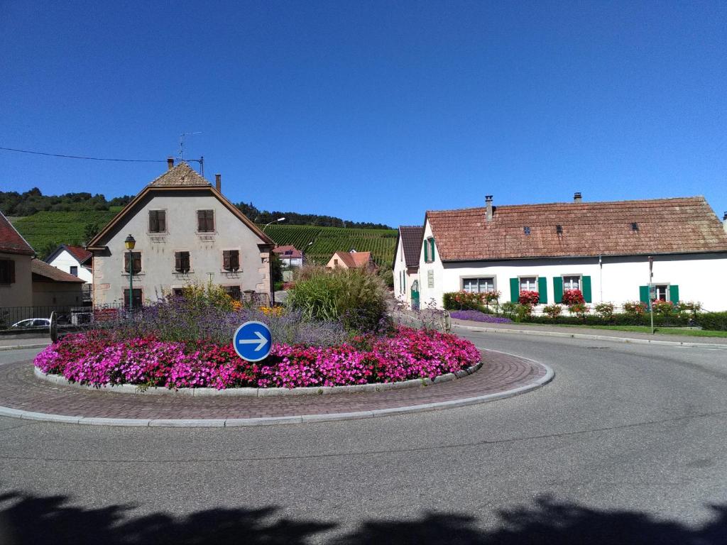 Gites & Camping on the Route des Vins – photo 24