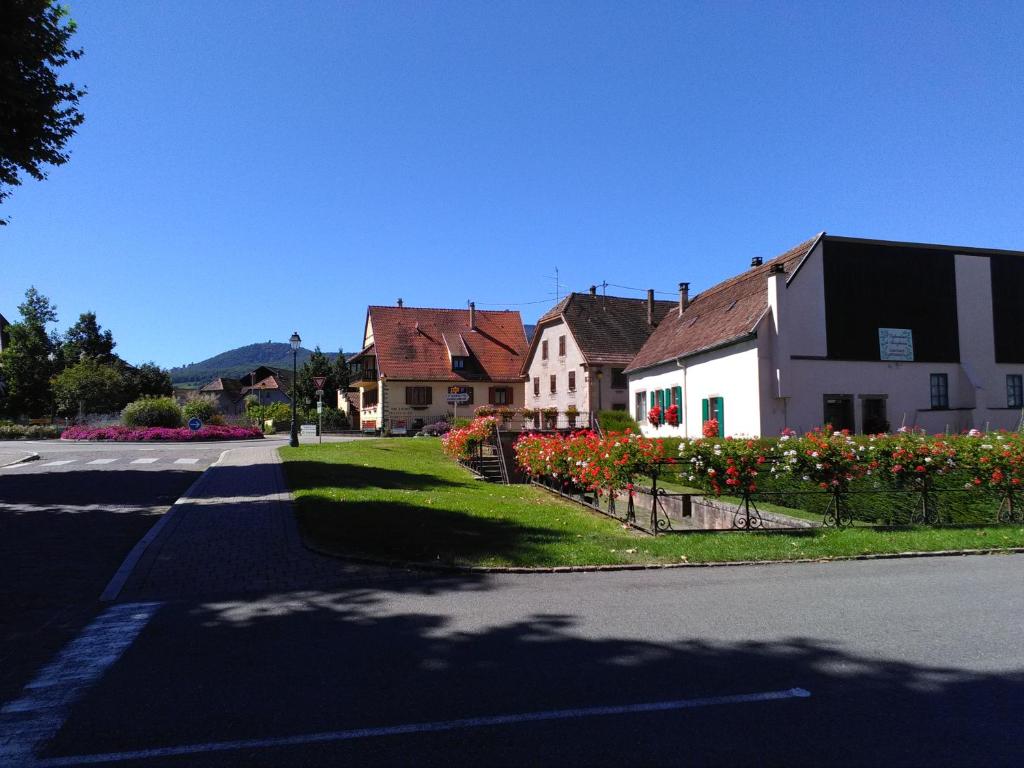 Gites & Camping on the Route des Vins – photo 9