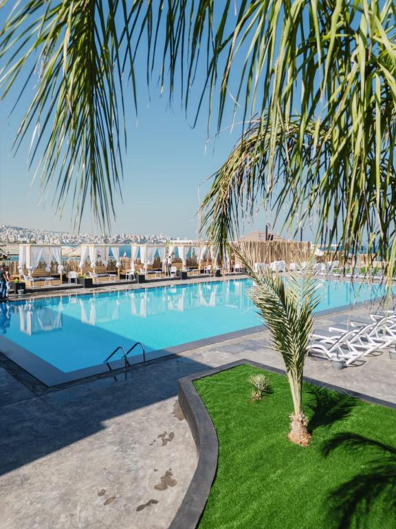 a swimming pool with a palm tree in a resort at Middle Beach Hotel in Jounieh