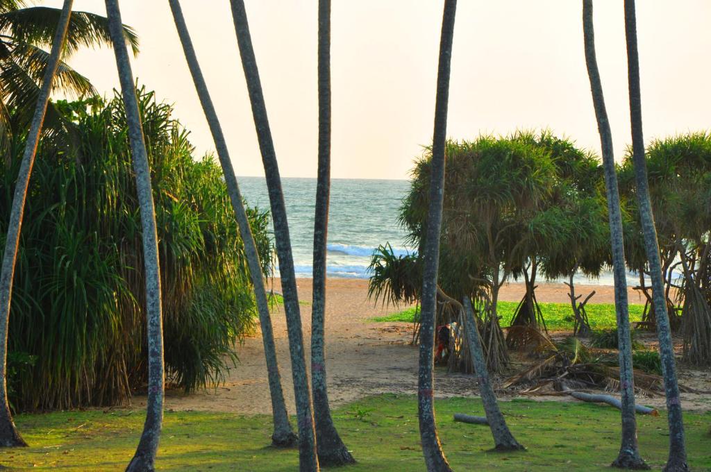 Blick auf den Strand durch Palmen in der Unterkunft Ocean View in Bentota