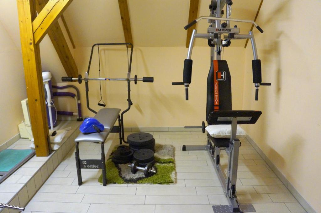 Fitness centrum a/nebo fitness zařízení v ubytování Frühstückspension Gasthof Gesslbauer