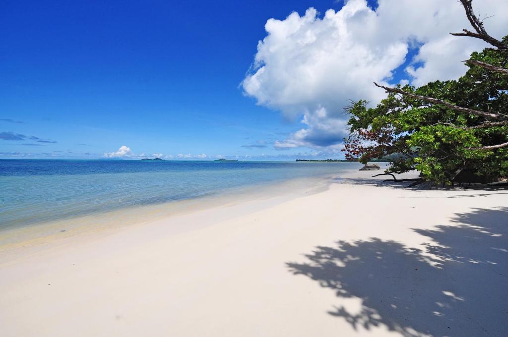 a white beach with trees and the ocean at Yasad Residence in Praslin