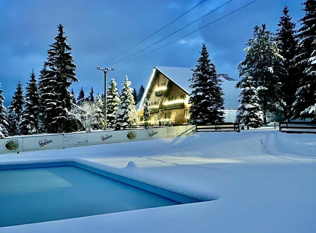 Domeniul CRIS Vatra Dornei om vinteren