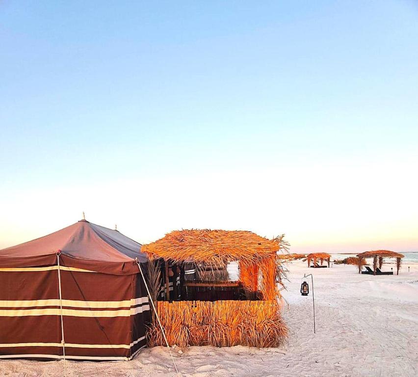 een tent op een strand met de oceaan op de achtergrond bij Beach Moments Camp in Aḑyūḩ