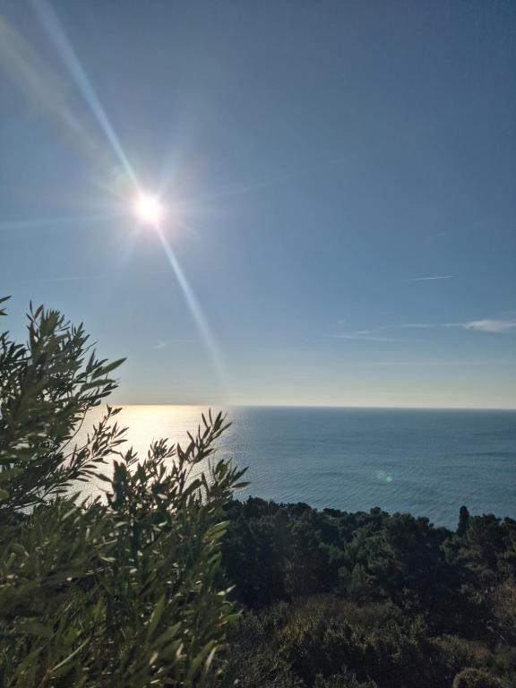 a view of the ocean with the sun in the sky at Apartmani Vila Marija in Budva