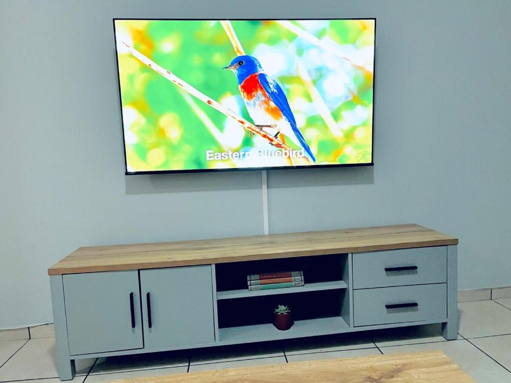 Et tv og/eller underholdning på Stylish 1 Bed Self Catering Near OR Tambo